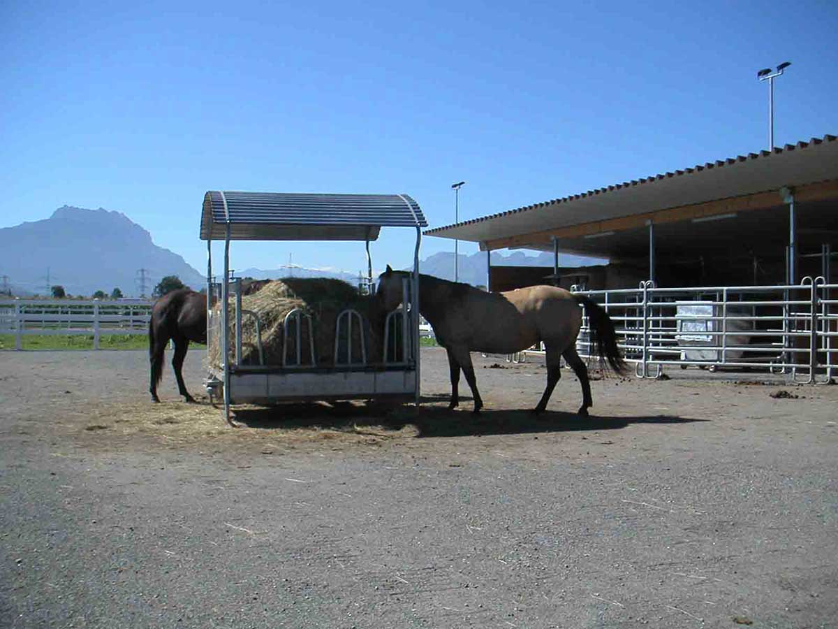 E44 Ecoraster Paddock mit Heuraufe