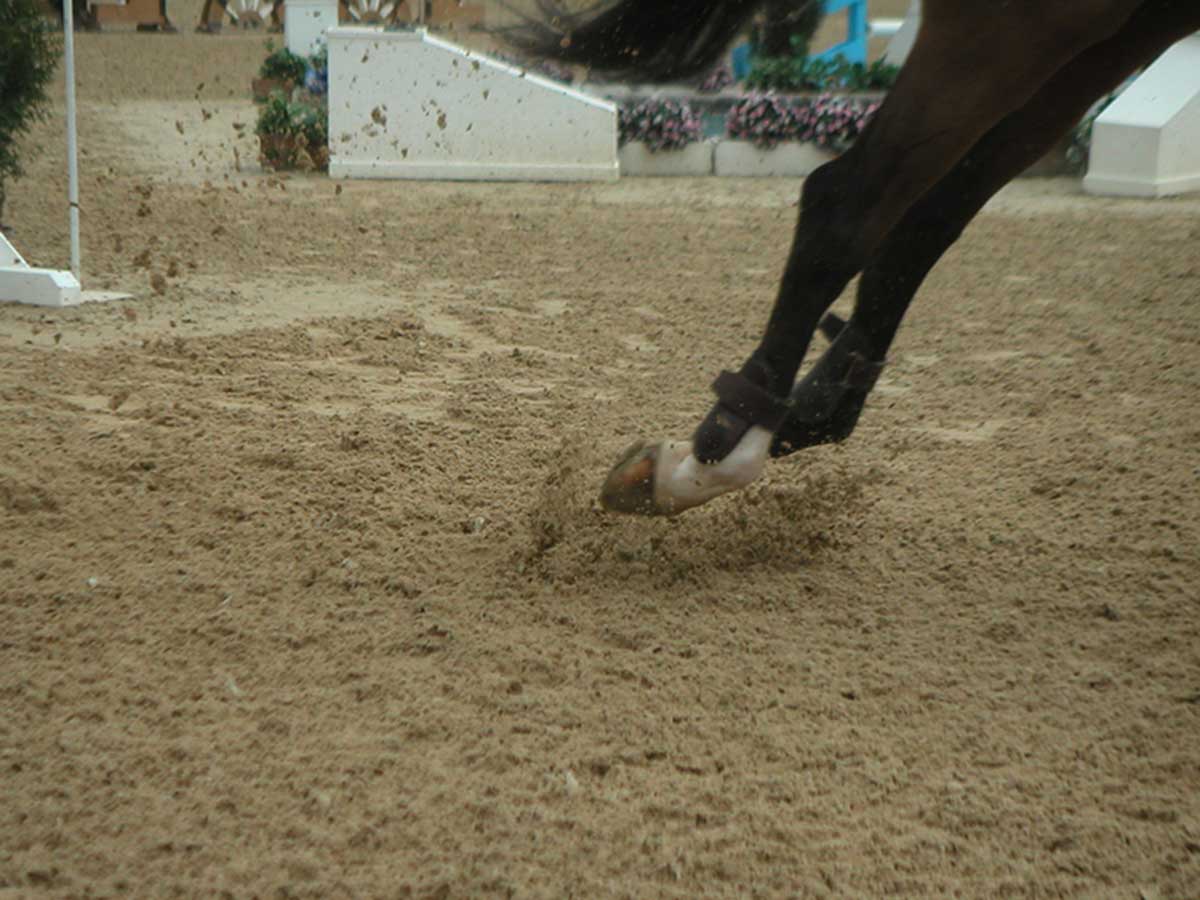 Quarzsand als Basis für die Tretschicht auf Reitplätzen