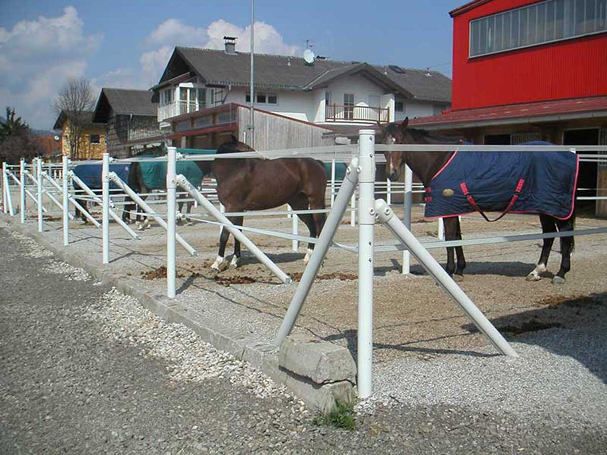 Paddockzaun mit Pferden