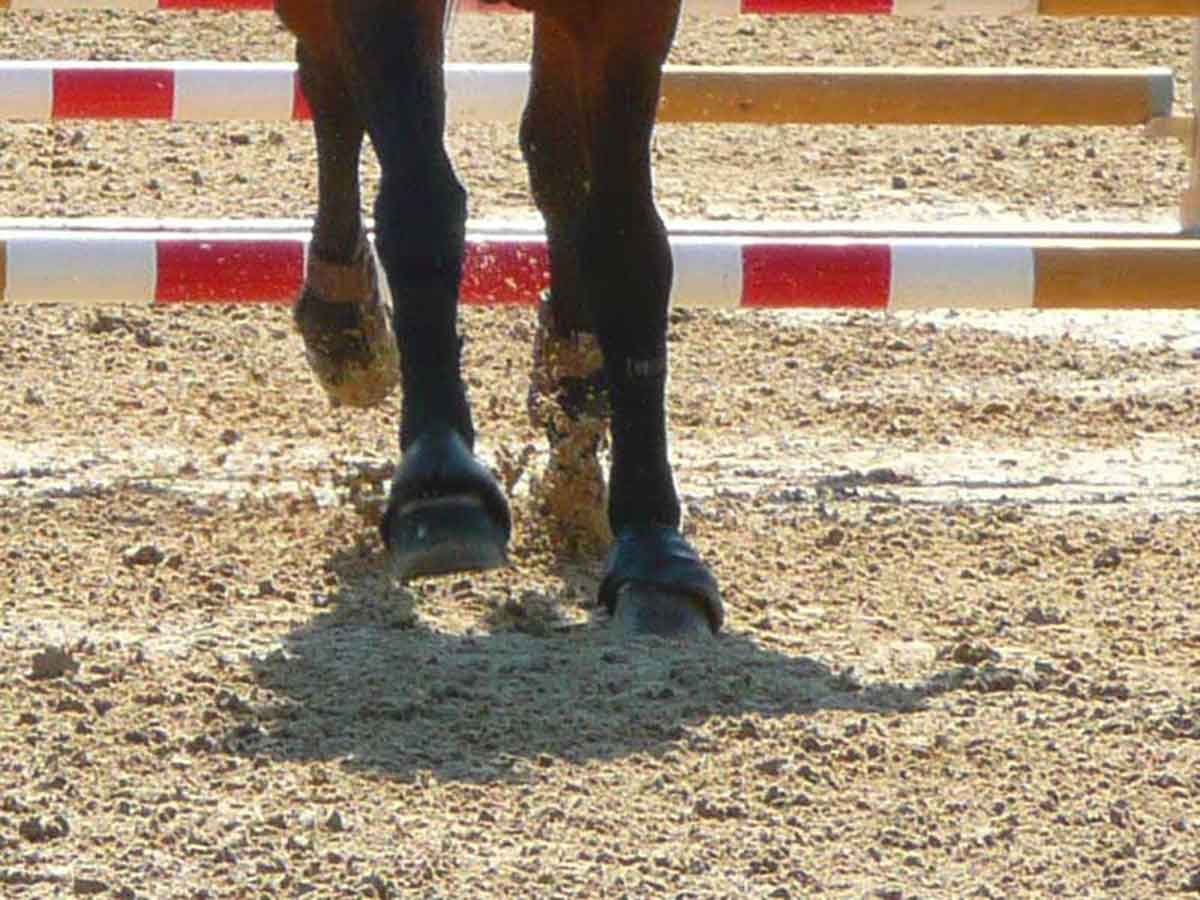 Anti Rutsch Faser Springen