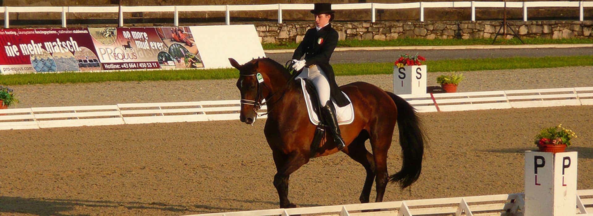 Reitplatzbau Dressur reiten