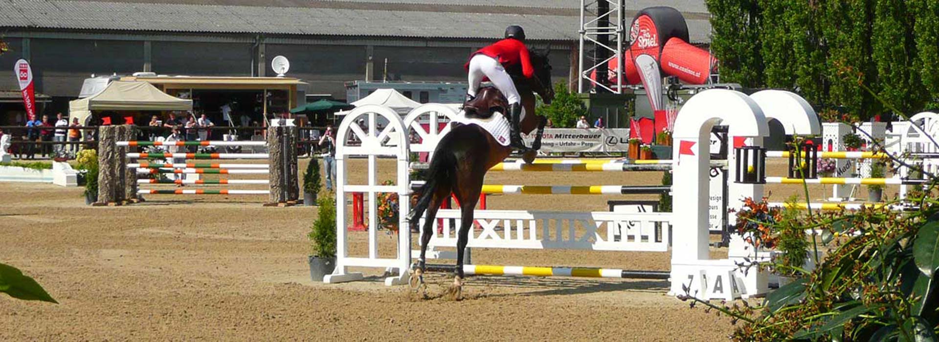 Reitboden Springreiten